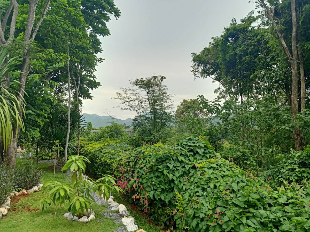 รูป ขายที่ดินเขาใหญ่ หมูสี ปากช่อง ธนะรัชต์ 2ไร่ ใกล้อุทยาน ในโครงการบ้านเขาใหญ่ บรรยากาศดีมาก สงบน่าอยู่ ใกล้มอเตอร์เวย์ แม็คโคร ตลาดร้านค้า 0879074045 - รูปที่ 5/6