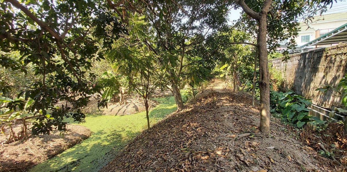 picture Call : 081-259-1385 Land for rent 3 rai in Rattanathibet, Soi Sai Ma 14, Mueang Nonthaburi, Width 11 meters, Near MRT Sai Ma Station - 4/12