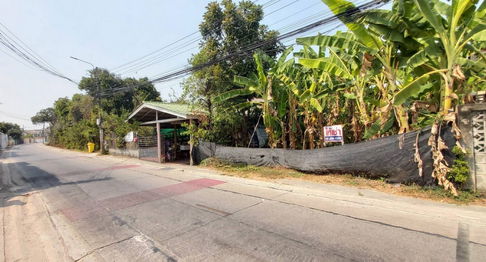 Call : 081-259-1385 Land for rent 3 rai in Rattanathibet, Soi Sai Ma 14, Mueang Nonthaburi, Width 11 meters, Near MRT Sai Ma Station