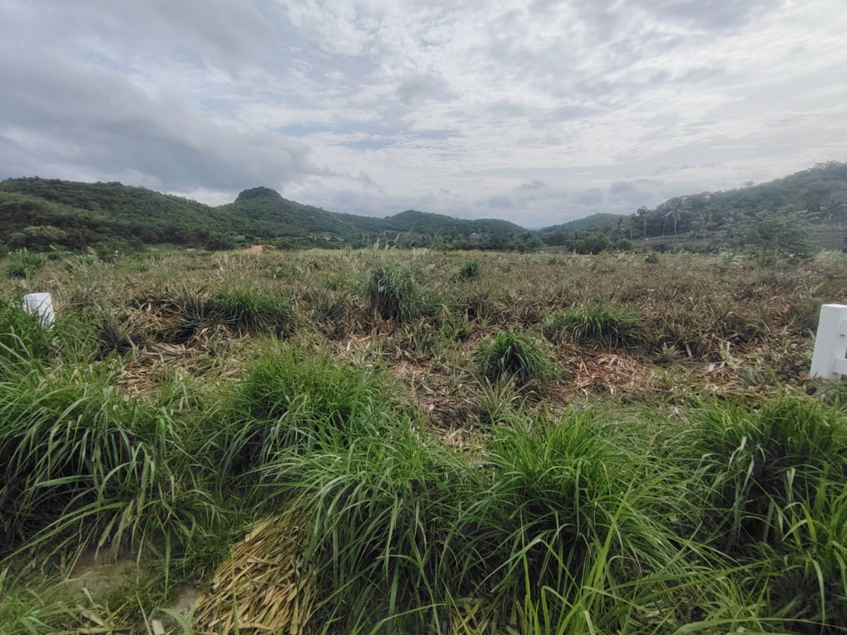 รูป ขายที่ดินหัวหิน  3  ไร่ วิวภูเขาล้อมรอบ  มีที่ดินเปล่าที่อยู่แปลงติดกันขายอีก 5 แปลงติดกัน - รูปที่ 8/17