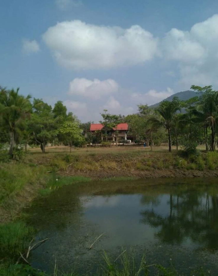 รูป ขายที่วิวเขายายเที่ยง 52 ไร่ ที่ดินสวนเกษตรผสมผสาน ขายถูกไร่ละ 830,000 วังไทร เขาใหญ่ ปากช่อง ที่โฉนดมือแรก ที่ติดคลองน้ำธรรมชาติ ที่สวย 0879074045 - รูปที่ 1/5