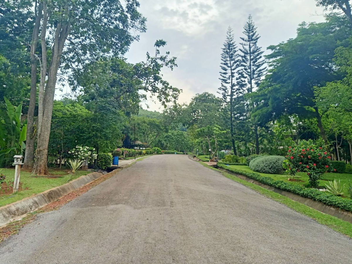รูป ขายที่ดินเขาใหญ่ หมูสี ปากช่อง ธนะรัชต์ 2ไร่ ใกล้อุทยาน ในโครงการบ้านเขาใหญ่ บรรยากาศดีมาก สงบน่าอยู่ ใกล้มอเตอร์เวย์ แม็คโคร ตลาดร้านค้า 0879074045 - รูปที่ 3/6
