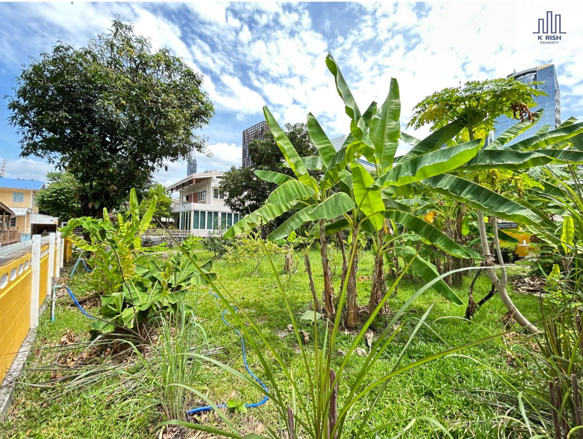 รูป ขายที่ดิน 100 ตร.ว สุขุมวิท 40 ติดถนน ที่สวย ราคาถูก ห่างจากถนนสุขุมวิทเพียง 300 เมตร ใกล้BTS เอกมัย เพียง1.5 กม - รูปที่ 7/12