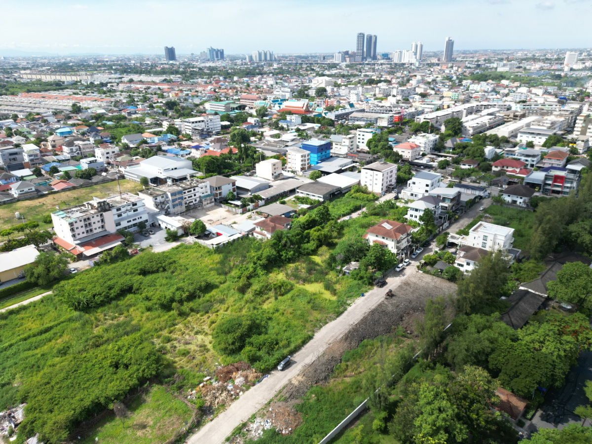 รูป ขายที่ดิน ถนนเฉลิมพระเกียรติ ร.9 ซอย 39 แปลงสวย ทำเลดีสุดๆ ธรรมชาติสุดๆ และราคาดีสุดๆ ขนาด 100 ตรว. ขายเพียง 4.5 ล้านบาท เท่านั้น ราคาดีสุดๆจริงๆครับ - รูปที่ 13/50