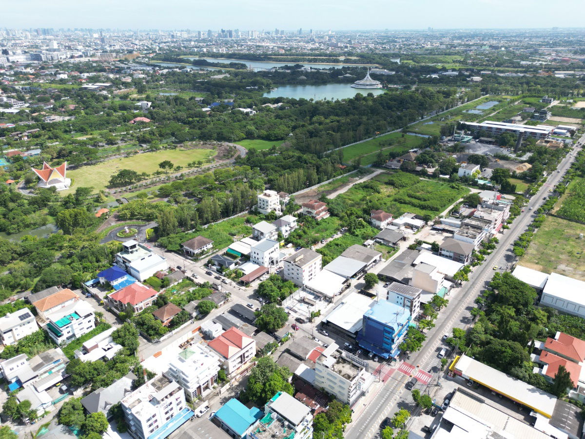 รูป ขายที่ดิน ถนนเฉลิมพระเกียรติ ร.9 ซอย 39 แปลงสวย ทำเลดีสุดๆ ธรรมชาติสุดๆ และราคาดีสุดๆ ขนาด 100 ตรว. ขายเพียง 4.5 ล้านบาท เท่านั้น ราคาดีสุดๆจริงๆครับ - รูปที่ 27/50