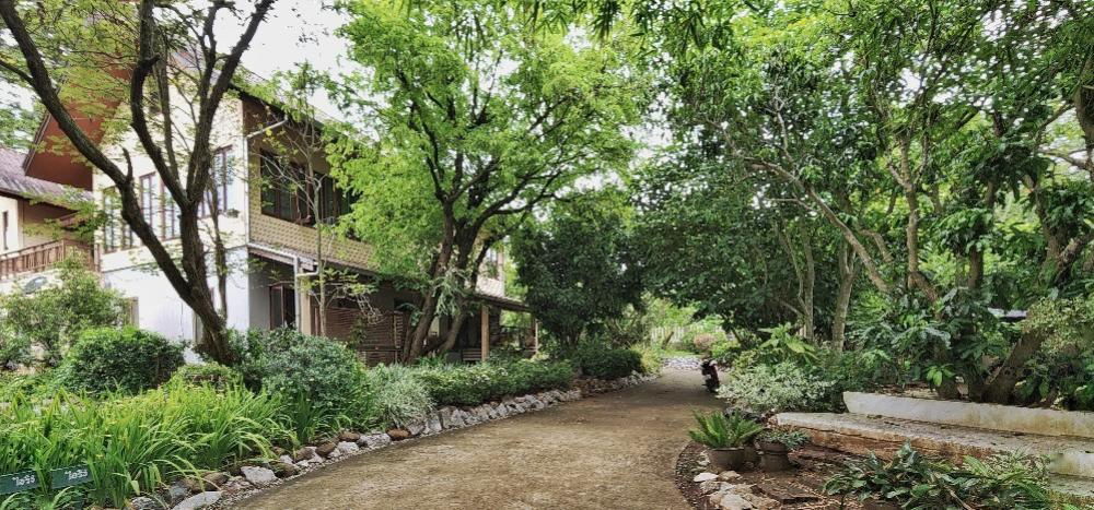 รูป ขายบ้านพักตากอากาศเขาใหญ่ 3 ไร่ อยู่เส้นธนะรัชต์ ท่าช้างบ้านไร่ หมูสี บ้านสวยพร้อมสวนขนาดใหญ่ ใกล้อุทยาน  ขายถูกมาก ใกล้มอเตอร์เวย์  087-9074045 - รูปที่ 25/25