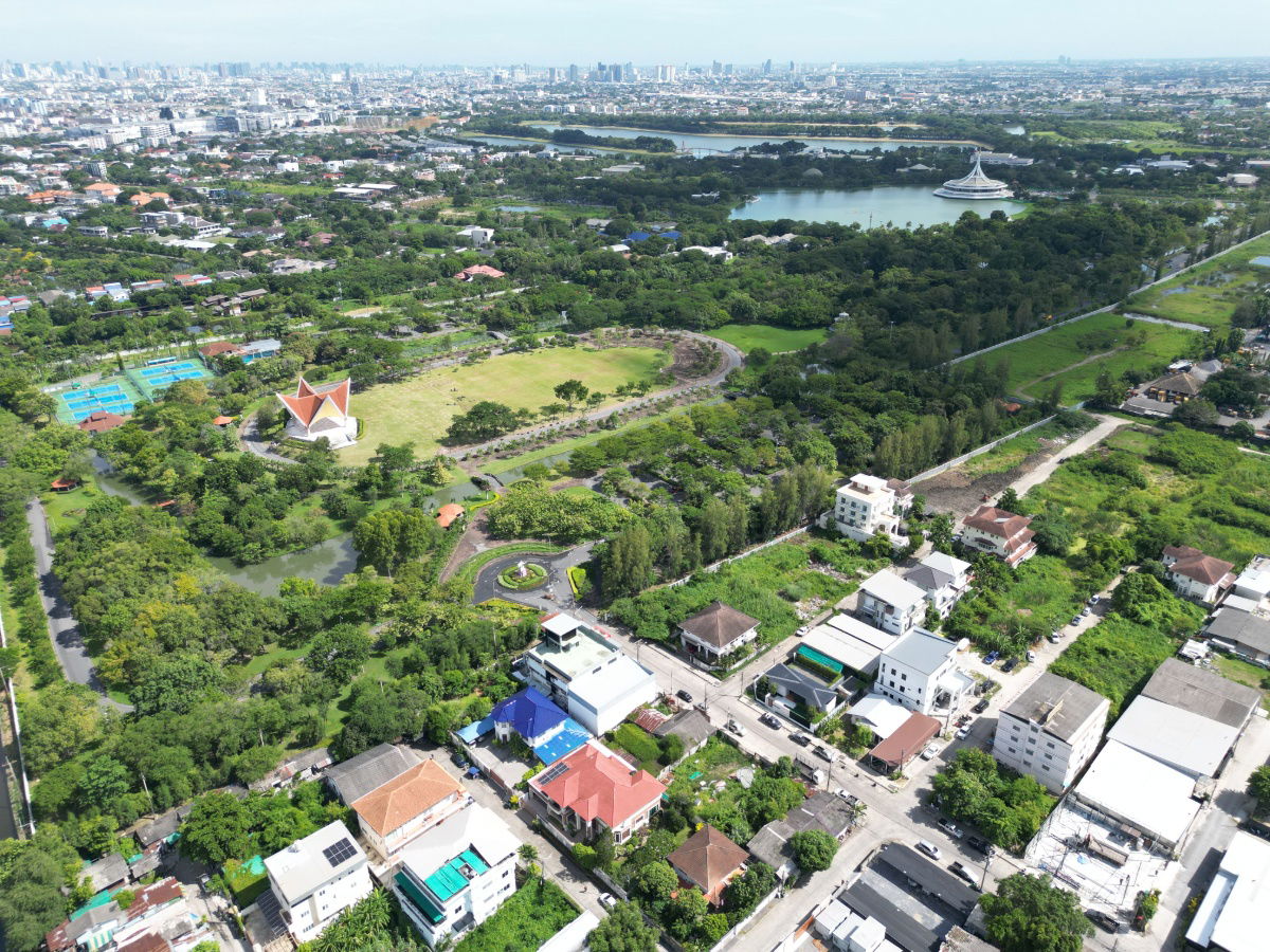 รูป ขายที่ดิน ถนนเฉลิมพระเกียรติ ร.9 ซอย 39 แปลงสวย ทำเลดีสุดๆ ธรรมชาติสุดๆ และราคาดีสุดๆ ขนาด 100 ตรว. ขายเพียง 4.5 ล้านบาท เท่านั้น ราคาดีสุดๆจริงๆครับ - รูปที่ 26/50