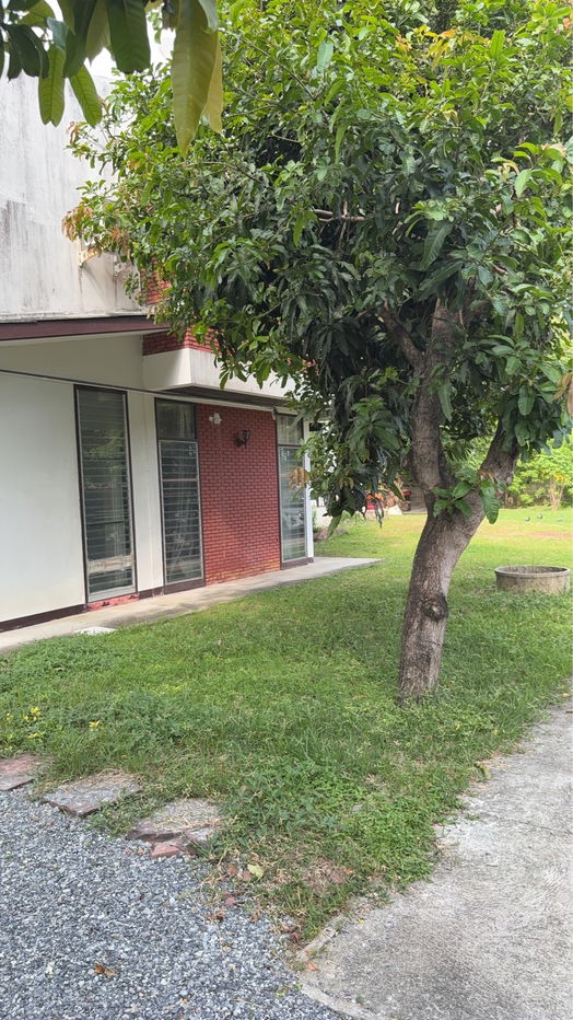 picture House for sales Ekkachai soi 16 - 13/15