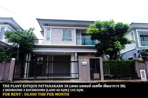 [ให้เช่า] หมู่บ้าน เดอะ แพลนท์ เอสทีค พัฒนาการ 38 / 2 ห้องนอน 3 ห้องน้ำ / 40 ตรว. 145 ตรม. **50,000** บ้านเดี่ยวตกแต่งสวย เพียง 15 นาทีจากทองหล่อ
