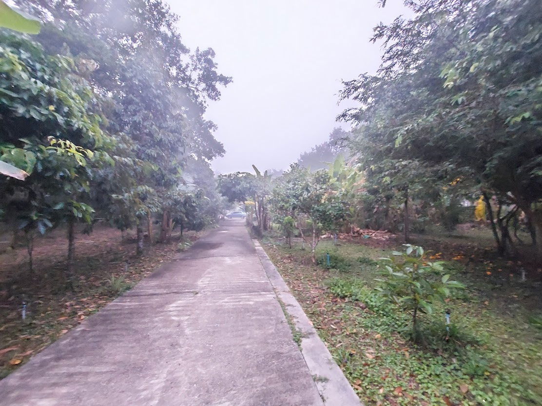 รูป ขายด่วน! ที่ดิน พร้อมบ้าน 4 หลัง (ติดแม่น้ำแคว)  ต.ลิ่นถิ่น อ.ทองผาภูมิ จ.กาญจนบุรี (ราคาถูก!  5,500,000 ) - รูปที่ 7/20