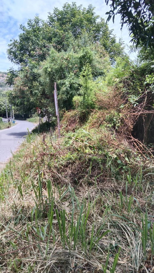 picture Large Land Plot for Sale – 787 Sq.wah, Next to Route 331 Entrance, Phlu Ta Luang, Sattahip - 4/6