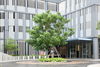 listing thumbnail image 21