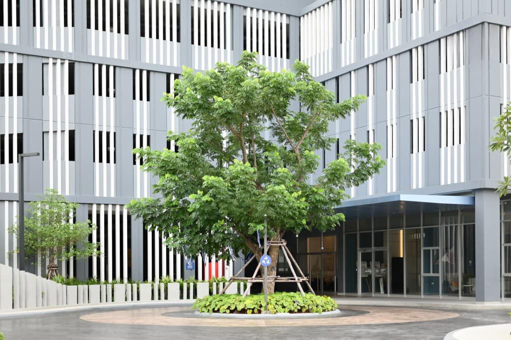 picture For Rent!!! 🔥🔥🔥 🎉LPN Place Chaengwatthana-Pakkret Station 🎉 - 22/24