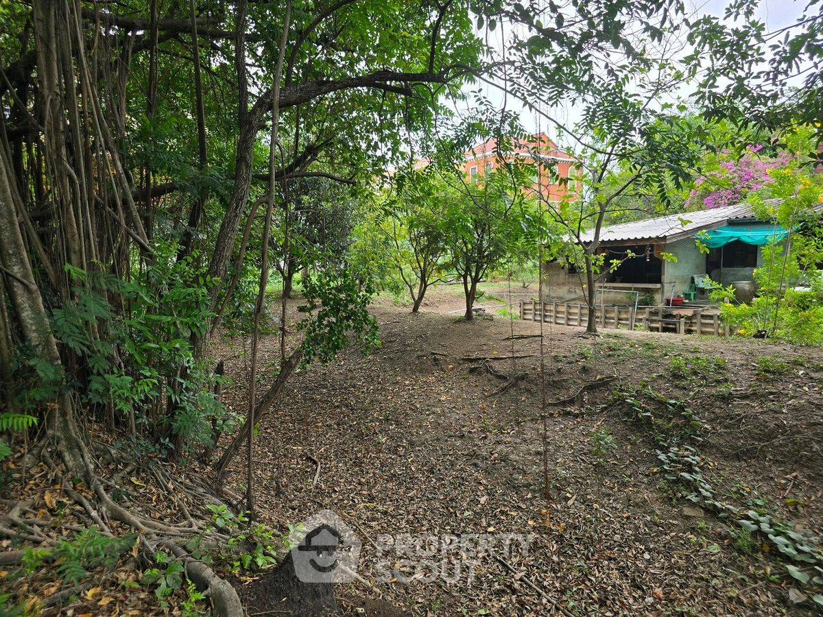 รูป ที่ดินสำหรับปล่อยเช่า 5,272 ตารางเมตร แถว ใน ท่าแร้ง (ID 2241323) - รูปที่ 6/8
