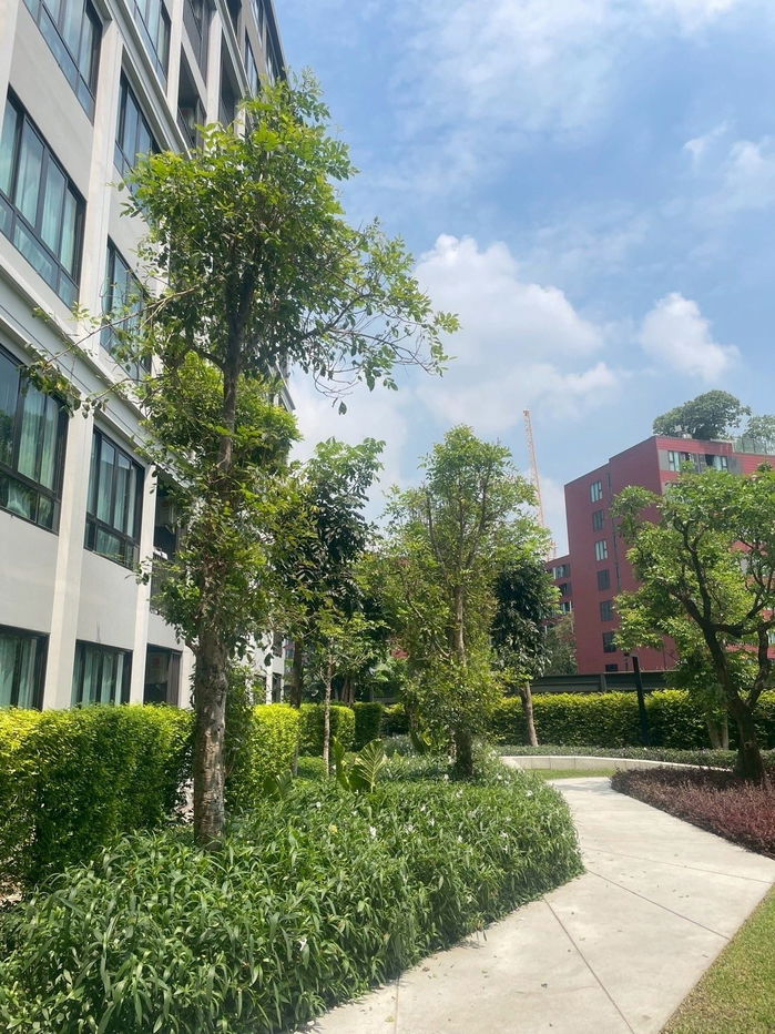 รูป ให้เช่าดีคอนโด ไฮด์อเวย์-รังสิต 26 ตร.ม. ห้องมุม วิวสระ เฟอร์ครบ ตรงข้ามธรรมศาสตร์รังสิต (TR1136) - รูปที่ 8/9
