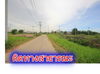 listing thumbnail image 29