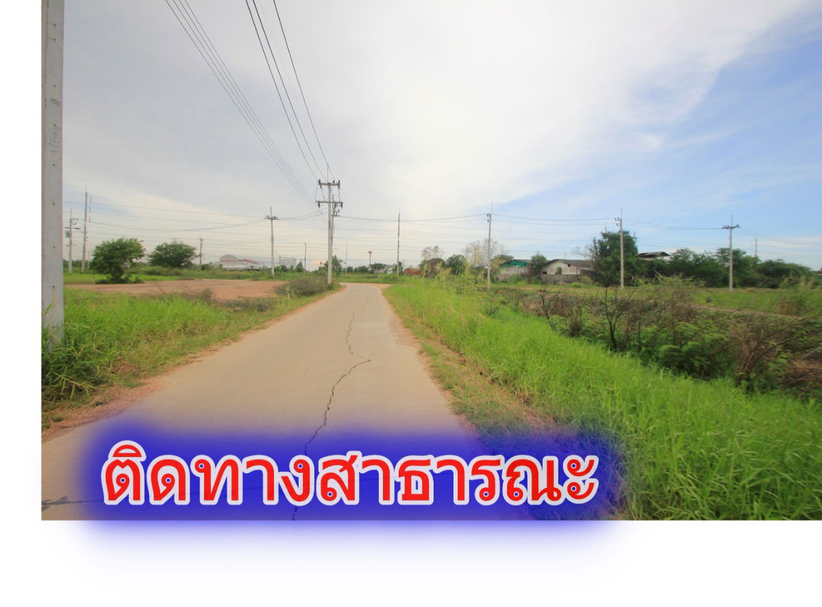 รูป ขายที่ดินบางไทรพระนครศรีอยุธยา ถนนปทุมธานีสามโคกเสนา ที่ดินถมแล้ว 6-3-11.5ไร่ ใกล้นิคมบ้านแพน ที่ดินสร้างบ้าน หอพัก โกดังเก็บสินค้า ศูนย์กระจายสินค้า  - รูปที่ 30/50