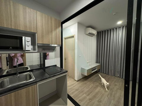 🚩 For Sell Condo BRIXTON PET & PLAY SUKHUMVIT 107 Building 1, Floor 2,1 bed room, Room size 26 sqm