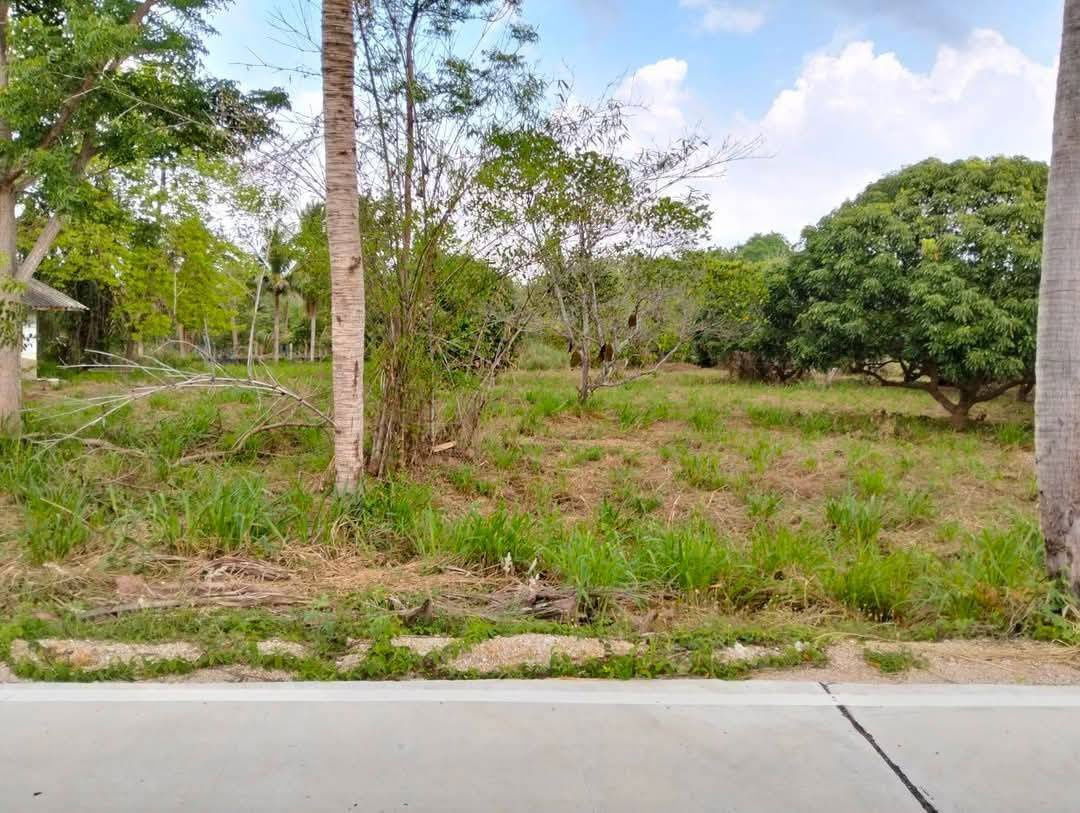 รูป ขายที่ดิน 4 ไร่ บางพระ ใกล้สำนักงานที่ดินศรีราชา - รูปที่ 3/5