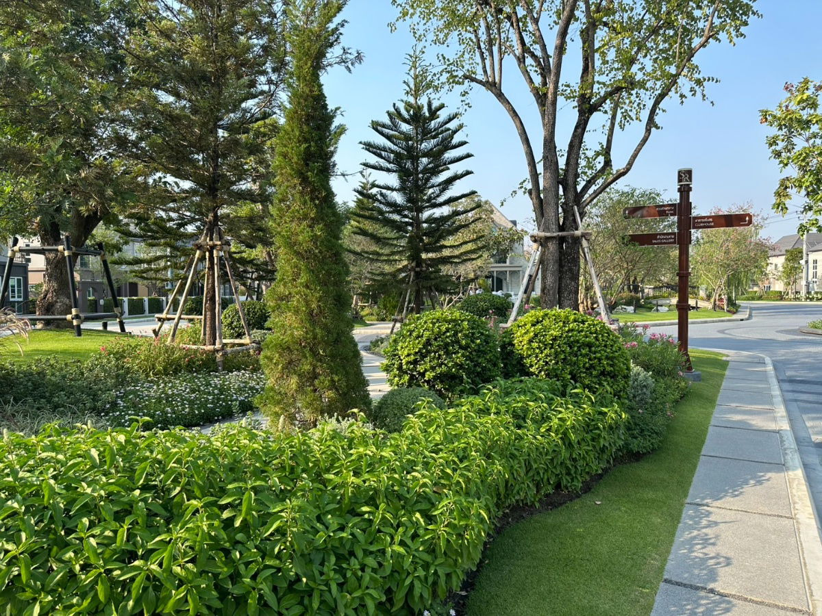 picture Sanransiri Grande Phutthamonthon Sai3 - 7/13