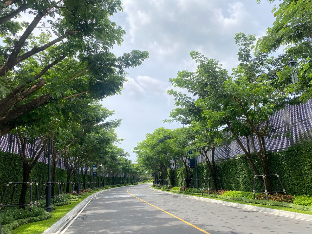 รูป 🌟 แปลงพิเศษ! Masefield ติดสวน 🏡 บ้านเดี่ยวหรูสุดคุ้ม 💎 ในโครงการเศรษฐสิริ บางนา กม.10 📍 ใกล้เมกาบางนา 🛍️ เดินทางสะดวก ใกล้สนามบิน ✈️ - รูปที่ 8/17