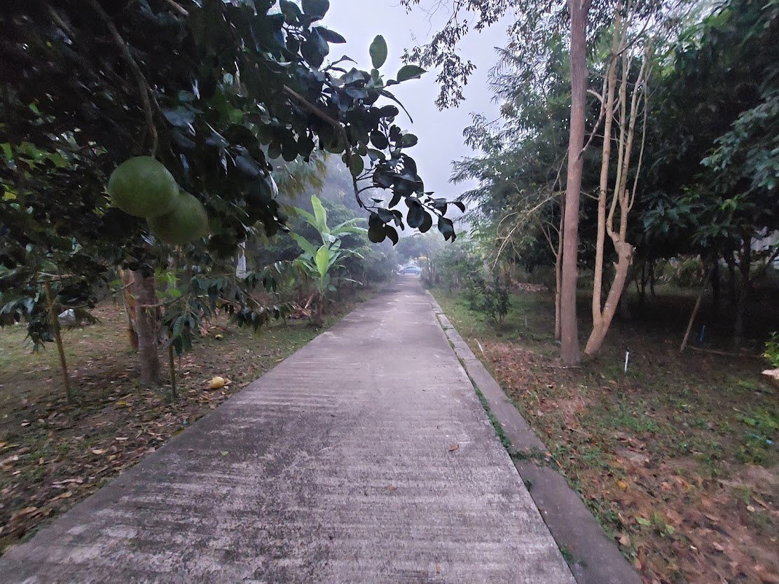 รูป ขายด่วน! ที่ดิน พร้อมบ้าน 4 หลัง (ติดแม่น้ำแคว)  ต.ลิ่นถิ่น อ.ทองผาภูมิ จ.กาญจนบุรี (ราคาถูก!  5,500,000 ) - รูปที่ 5/20
