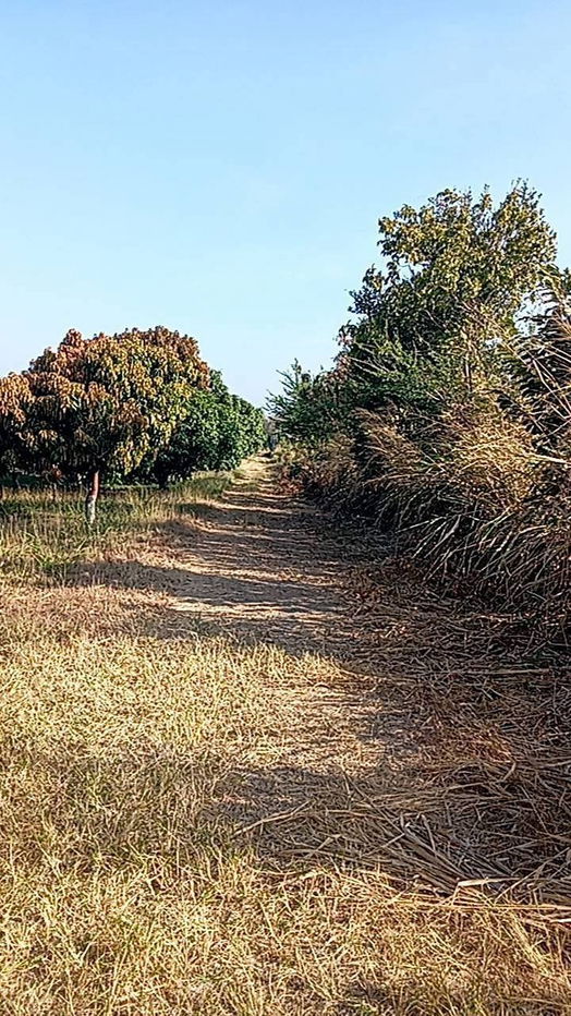 picture Beautiful land on Asia Road that everyone must reserve - 3/9