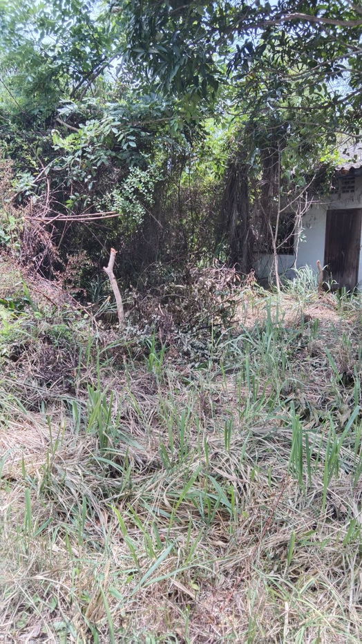 picture Large Land Plot for Sale – 787 Sq.wah, Next to Route 331 Entrance, Phlu Ta Luang, Sattahip - 3/6