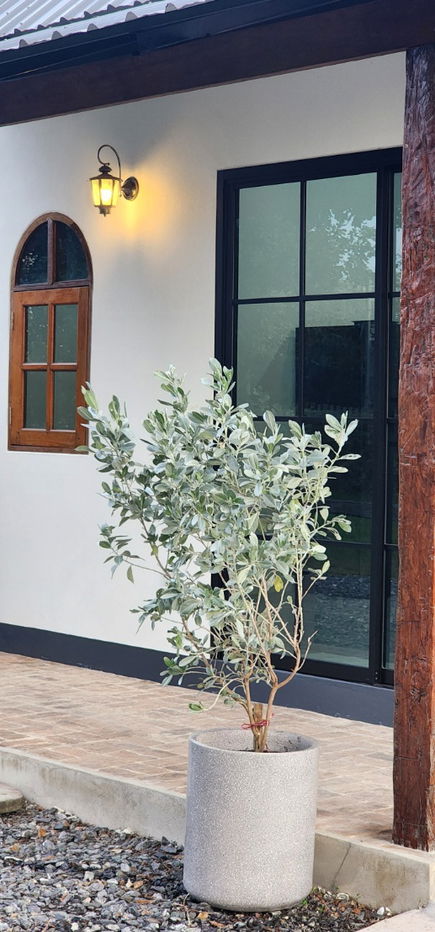 รูป P74 บ้านเดี่ยวให้เช่า – เงียบสงบ สะอาด น่าอยู่ ใกล้เมืองเชียงใหม่ - รูปที่ 12/20