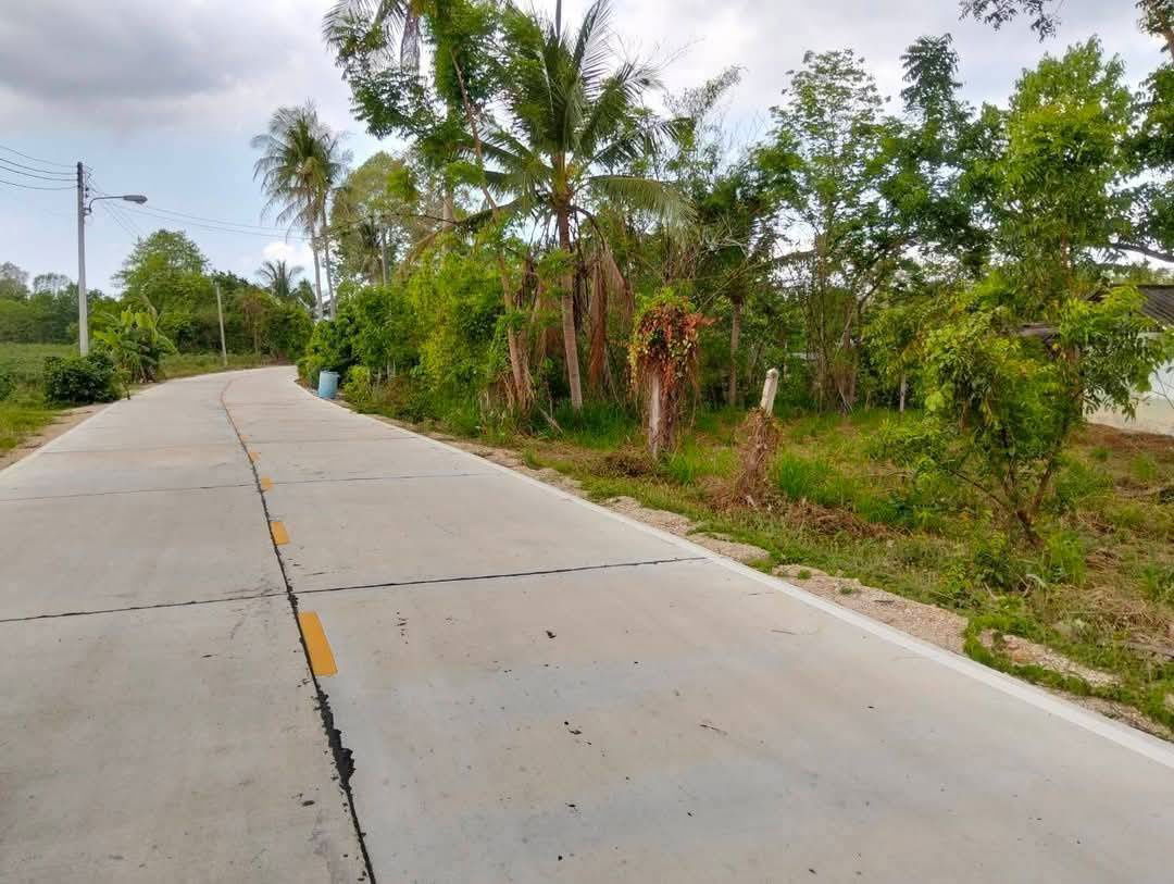 รูป ขายที่ดิน 4 ไร่ บางพระ ใกล้สำนักงานที่ดินศรีราชา - รูปที่ 4/5