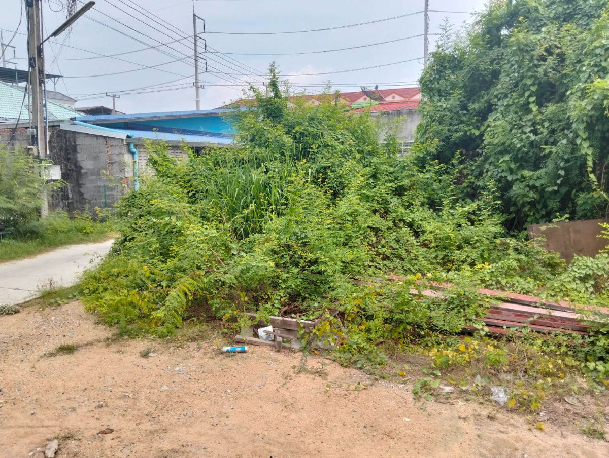 รูป ที่ดิน 49 ตรว.ใกล้ตลาดโรงโป๊ะ 300 เมตร - รูปที่ 2/5