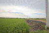 listing thumbnail image 31