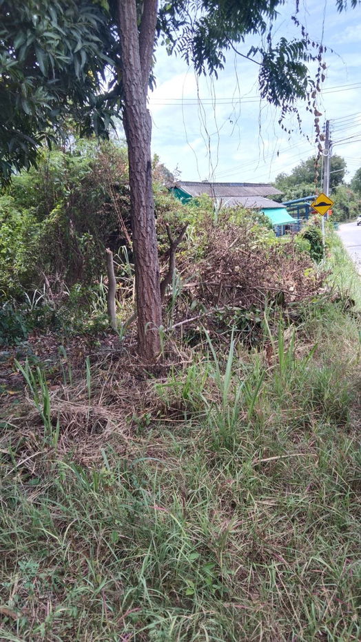 picture Large Land Plot for Sale – 787 Sq.wah, Next to Route 331 Entrance, Phlu Ta Luang, Sattahip - 6/6