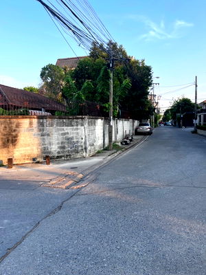 ที่ดิน เกษตร : ขายที่ดินแปลงสวย 261 ตร.วา พร้อมบ้าน ใกล้ MRT ลาดพร้าว เดินทางสะดวก วังหิน-รัชดา-ลาดพร้าว