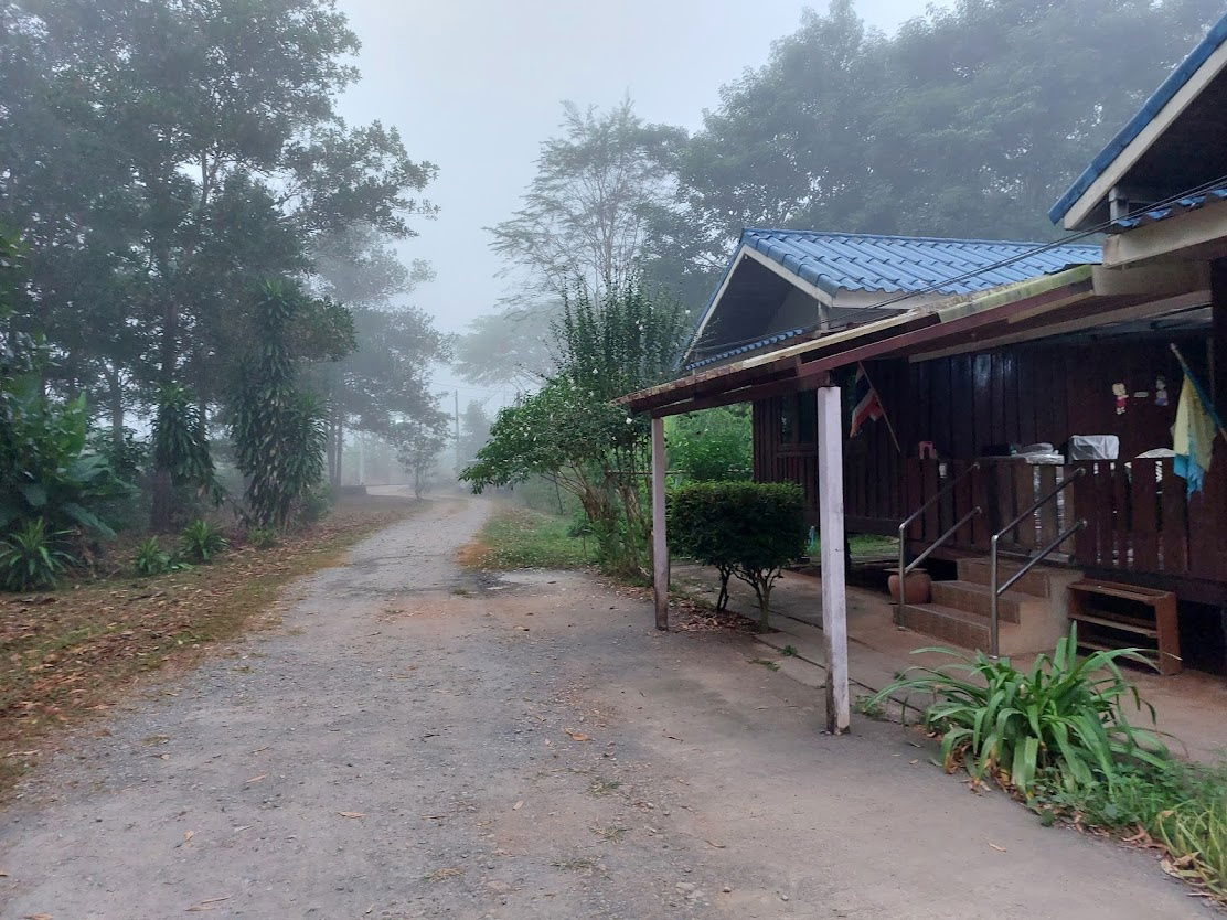 รูป ขายด่วน! ที่ดิน พร้อมบ้าน 4 หลัง (ติดแม่น้ำแคว)  ต.ลิ่นถิ่น อ.ทองผาภูมิ จ.กาญจนบุรี (ราคาถูก!  5,500,000 ) - รูปที่ 13/20