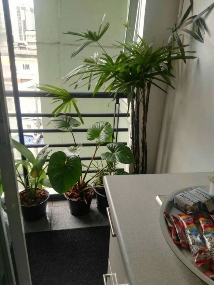 picture [ FOR RENT  ]  ⚡🌈 E53601 – Lumpini Suite Sukhumvit 41 ⚡🌈LINE: @theagentpro (Don’t forget the "@") - 7/16