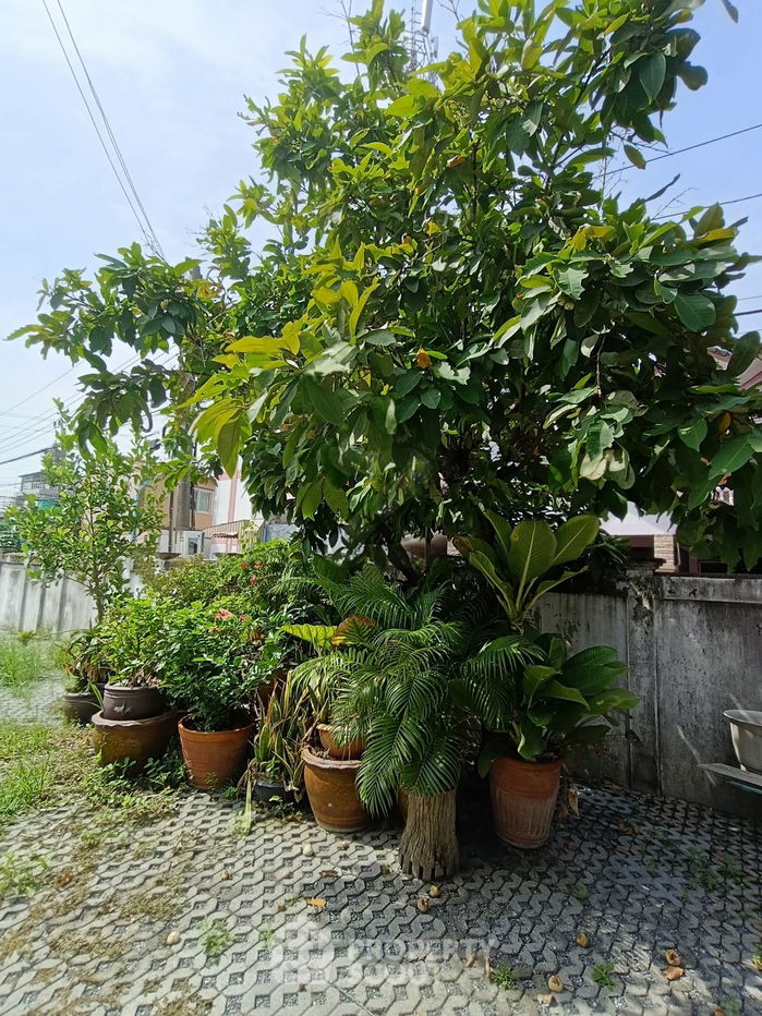 รูป บ้าน 3-ห้องนอน ใน ดอนเมือง (ID 2231372) - รูปที่ 4/7