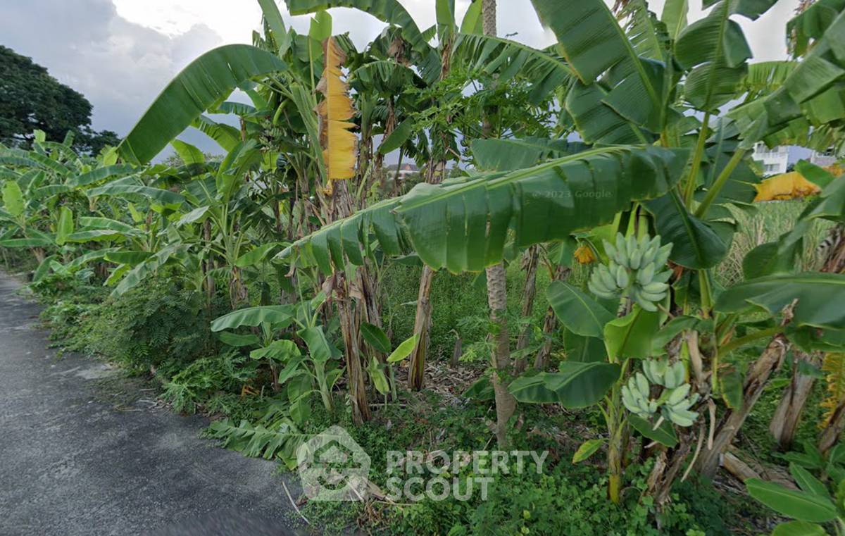 picture 550 m² Land for Sale in Suan Luang (ID 2238021) - 3/5