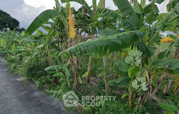 Land for sale, 137.5 sq wah, Suan Luang