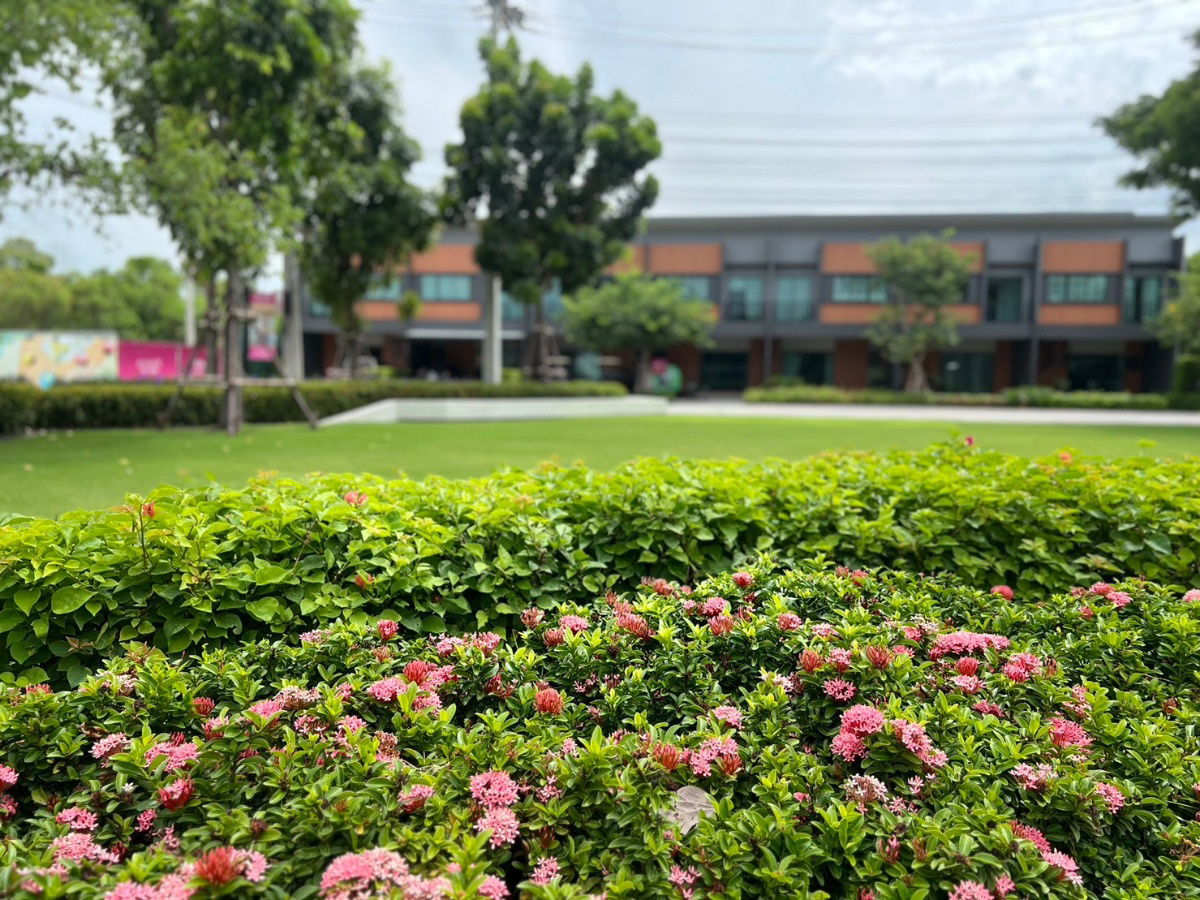รูป ขายทาวน์เฮาส์ 2.69 ล้านบาท  สิรเพลส ราชพฤกษ์ 345 โครงการบ้านพร้อมอยู่แสนสิริ - รูปที่ 1/10
