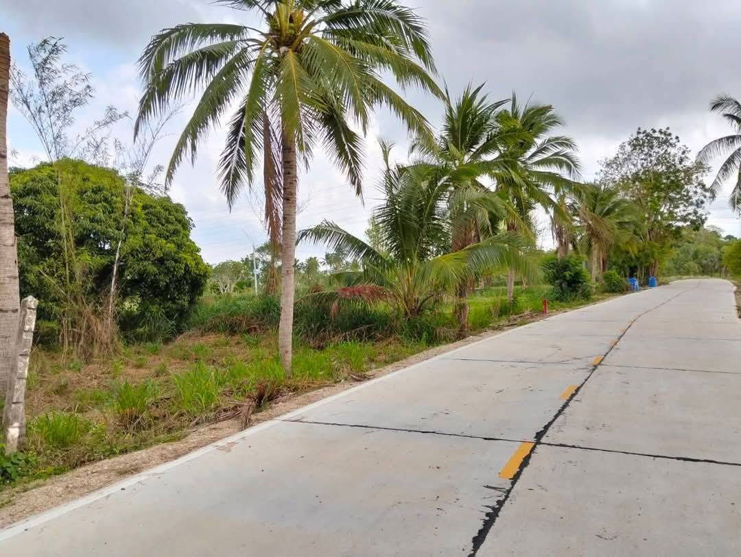 รูป ขายที่ดิน 4 ไร่ บางพระ ใกล้สำนักงานที่ดินศรีราชา - รูปที่ 5/5