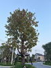listing thumbnail image 19
