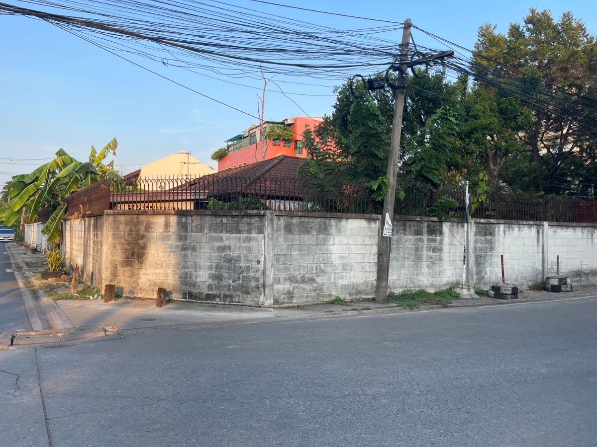 รูป ขายที่ดินแปลงสวย 261 ตร.วา พร้อมบ้าน ใกล้ MRT ลาดพร้าว เดินทางสะดวก วังหิน-รัชดา-ลาดพร้าว - รูปที่ 3/7
