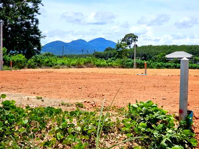 ที่ดิน เมืองระยอง ระยอง : บอกเลยคุ้มค่า ที่ดินขนาด 100 ตรว. ห่างถนนสุขุมวิท 1 กม. อ.เมืองระยอง