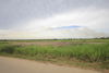 listing thumbnail image 26