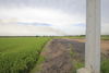 listing thumbnail image 35