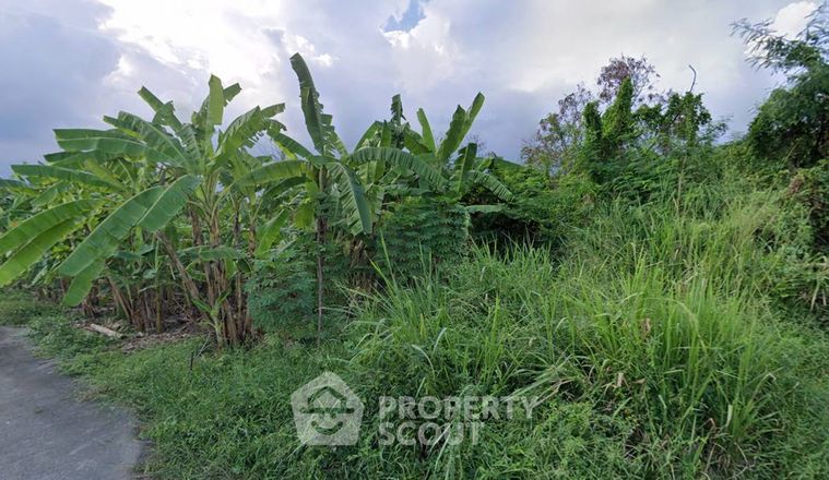 Land for sale, 137.5 sq wah, Suan Luang