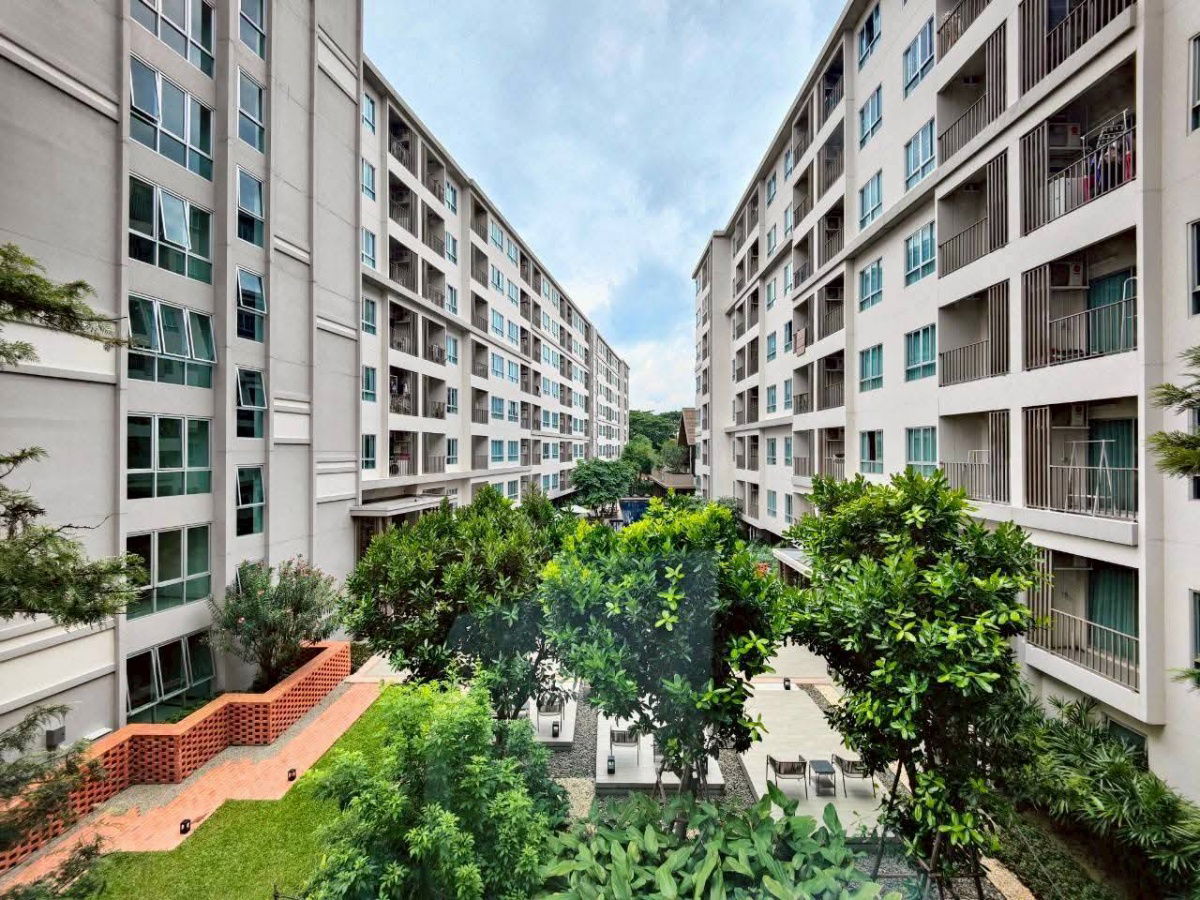 รูป ให้เช่า D Condo Rin คอนโดติดเซ็นทรัลเฟส ว่าง 11 ส.ค. 68 ให้เช่า 12,000บาท/เดือน  - รูปที่ 11/22