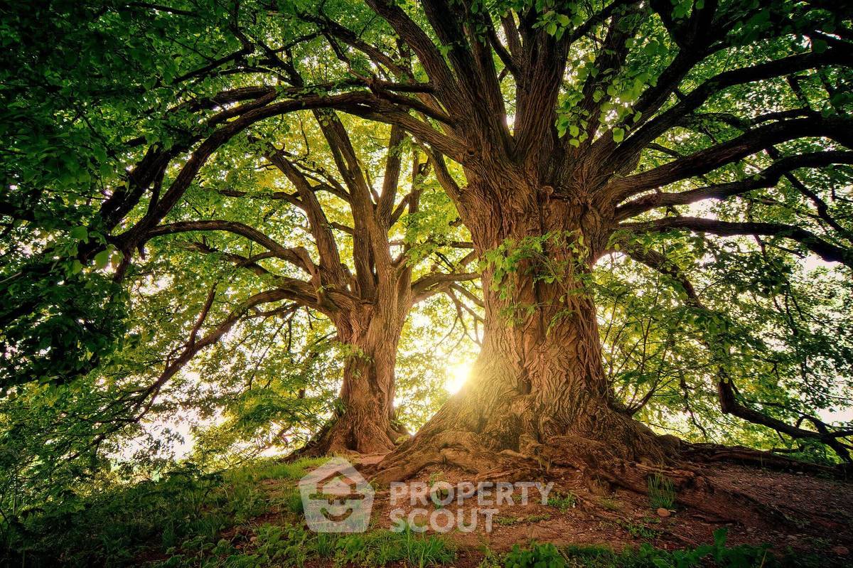 รูป วิลล่า 2-ห้องนอน ใน วัดเกต (ID 1295793) - รูปที่ 4/10