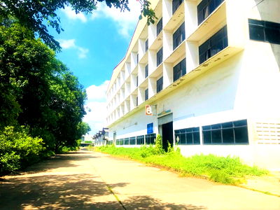 Land for sale ม.เอเชียอาคเนย์ : Land for sale 83 rai, Phutthamonthon Sai 4 Road, Suitable for factories, warehouses, logistics, mix use, villages, hospital.